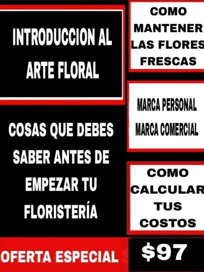 Introducción al arte floral